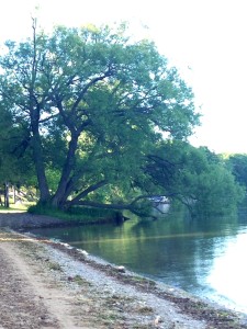 Meditation-by-lake